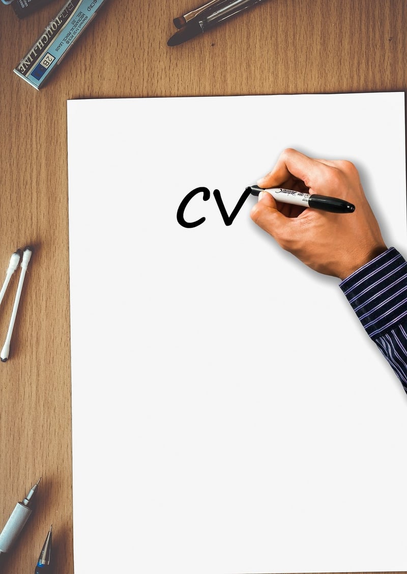 Professional CV Template